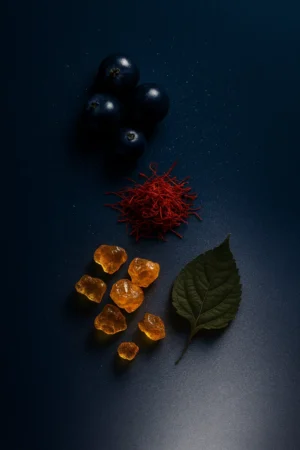 Northwatch Northwatch