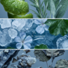 Voidwater