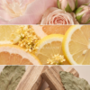 Floral Enigma