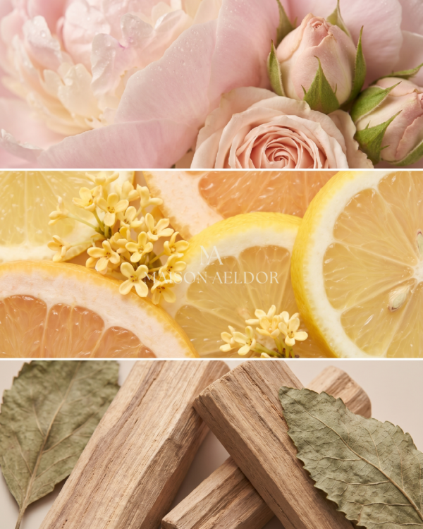 Floral Enigma