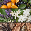 LTING Lavender Tide