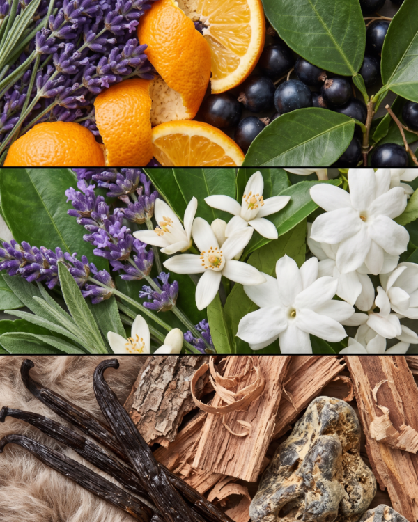 LTING Lavender Tide