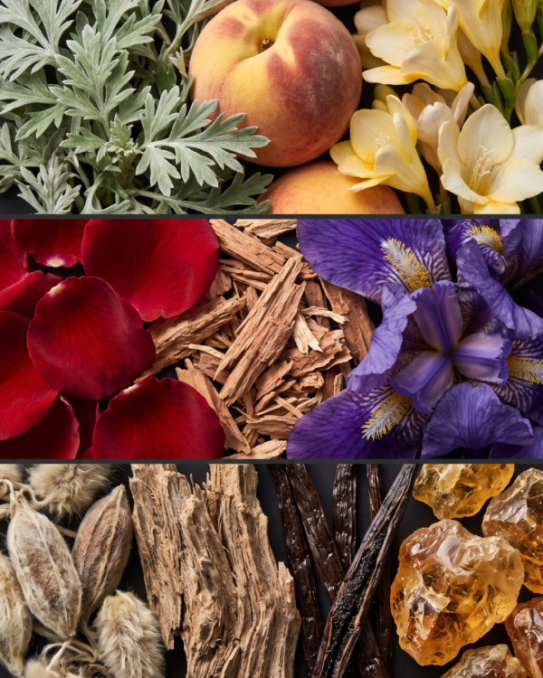 Artboard 18 Velvet Bloom